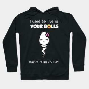 I Used To Live In Your Balls Funny Daughter Happy Father's Day Hoodie